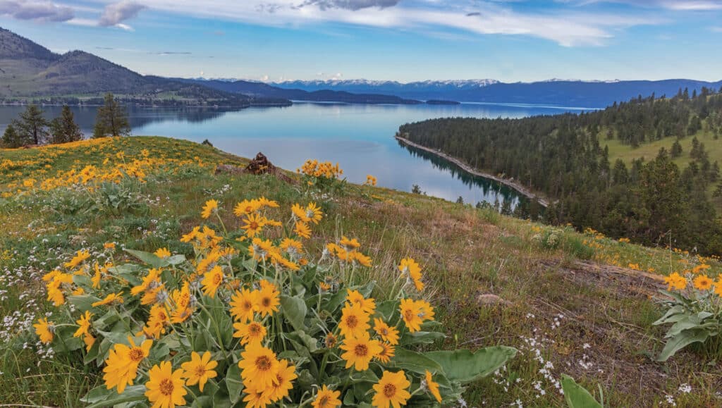 Wild Horse Island on Flathead Lake in Kalispell, MT FAQ's, Frequently Asked Questions
