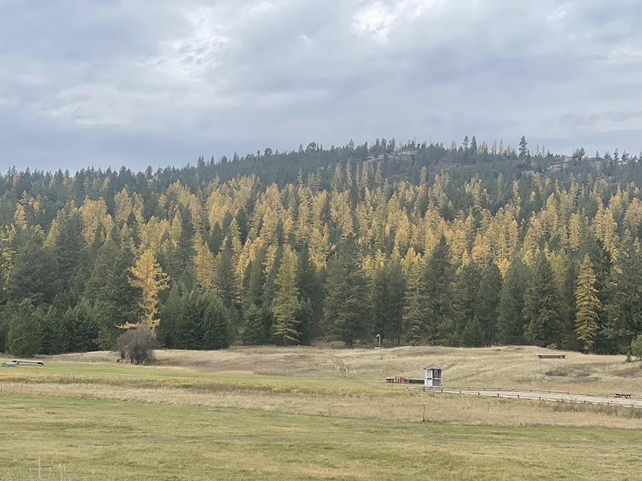 Fall Colors at Herron Park Montana