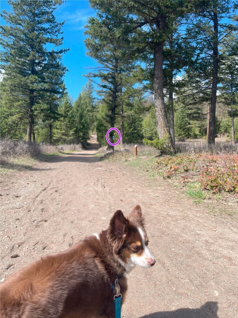 Hiking Directions at Herron Park Trails, to the Notch trail