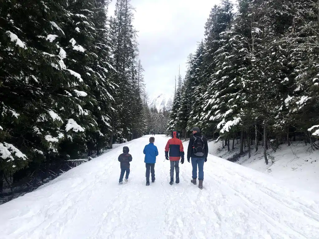 Going-to-the-Sun Road in the Winter Tours