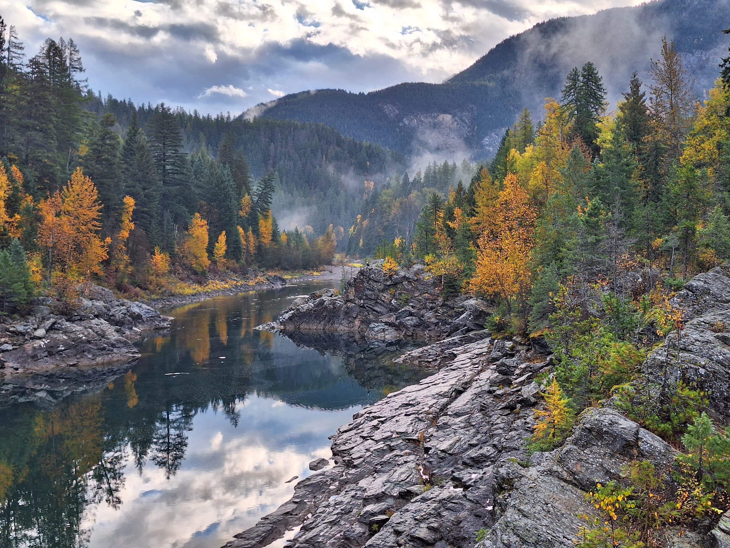 Flathead River and yellow tamaraks in late summer on driving tour of Glacier National Park