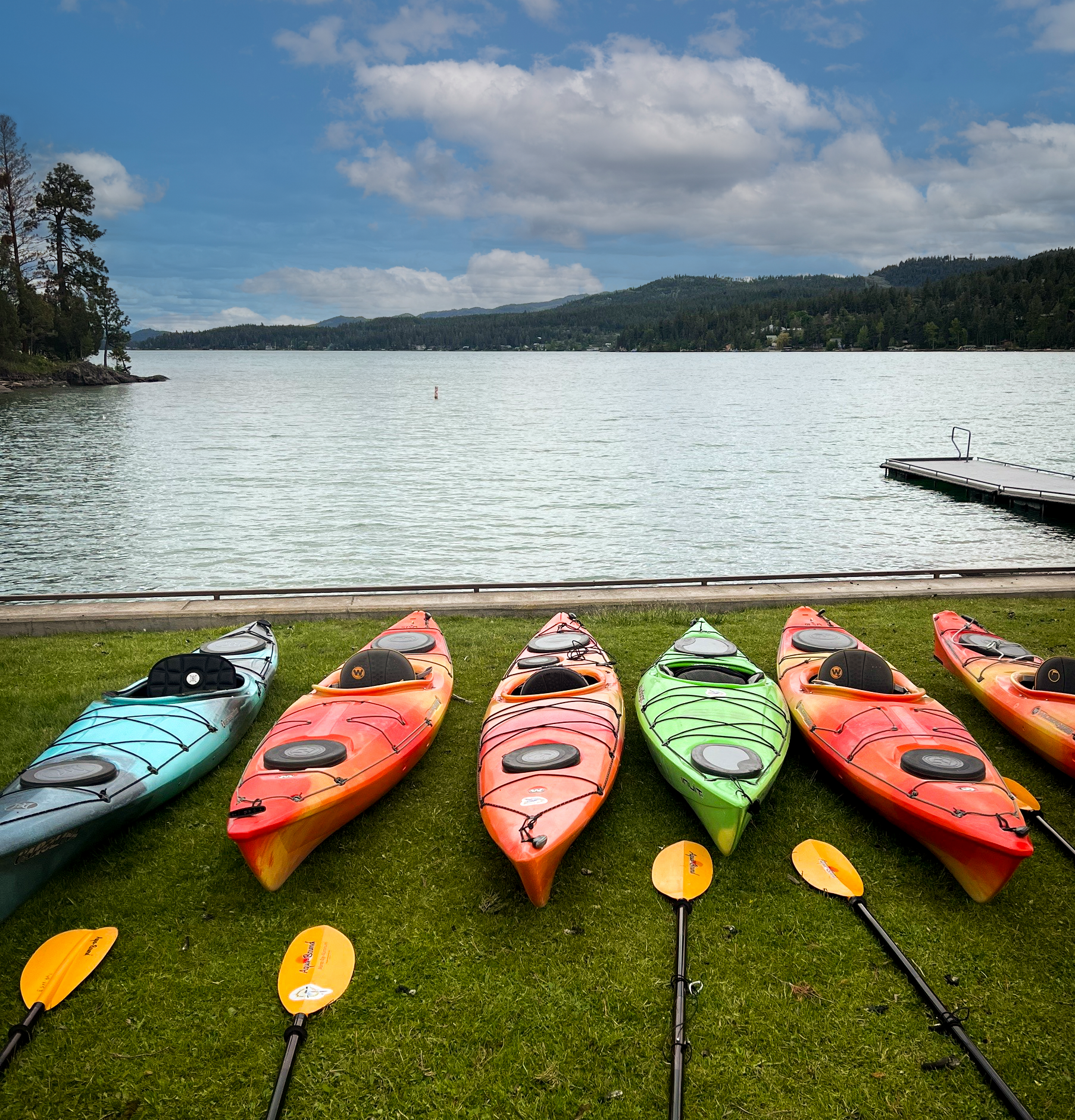 Kayaks and paddles all lined up and ready for launch for Somers Bay kayak tour with Tour Glacier